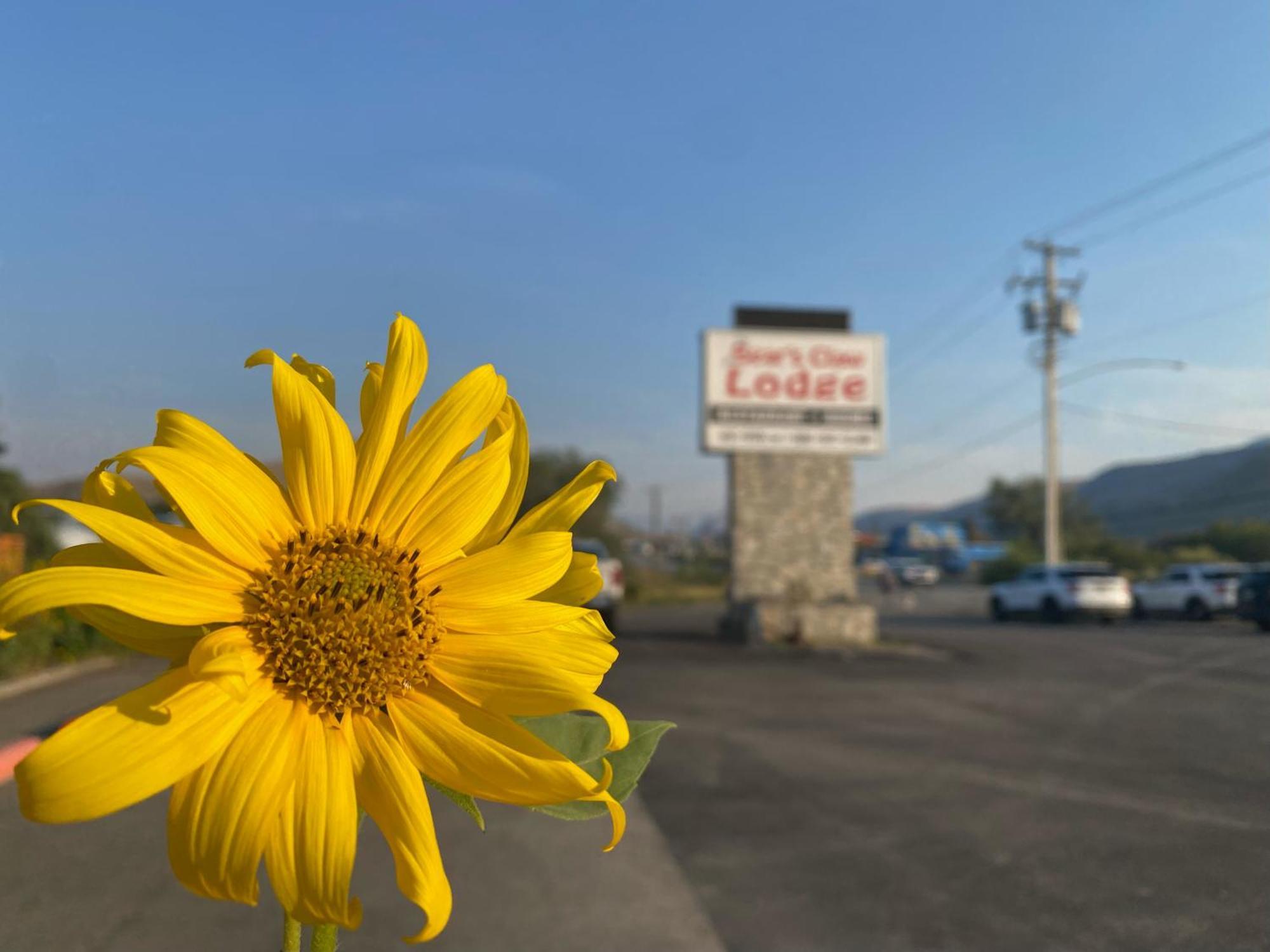 Motel Bear's Claw 4*