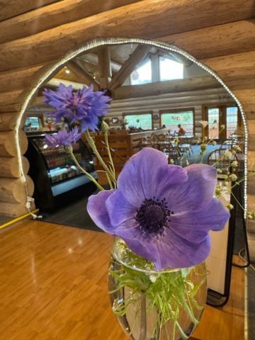 Bear's Claw Motel 4*